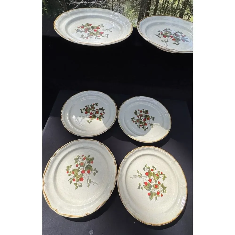 6 Vintage 1960’s Endura Collection LA FRAISE Strawberries 10.5